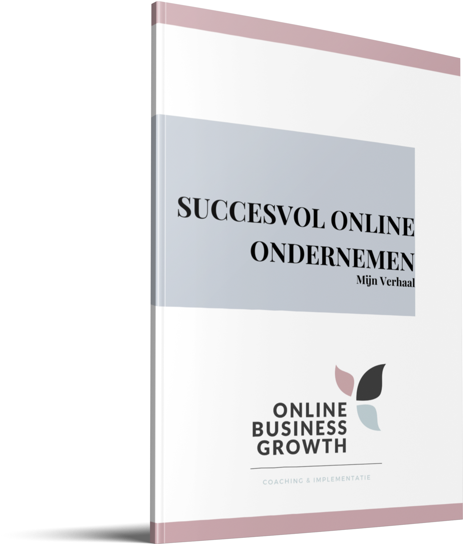 OBG_Succesvol Online Ondernemen